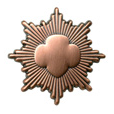 Girl Scout Bronze Award pin