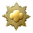 Girl Scout Gold Award pin