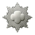 Girl Scout Silver Award pin