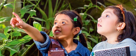 Journeys and badges in cybersecurity, eco-camping, robotics, college prep, space science, and more! Journeys and badges in cybersecurity, eco-camping, robotics, college prep, space science, and more!