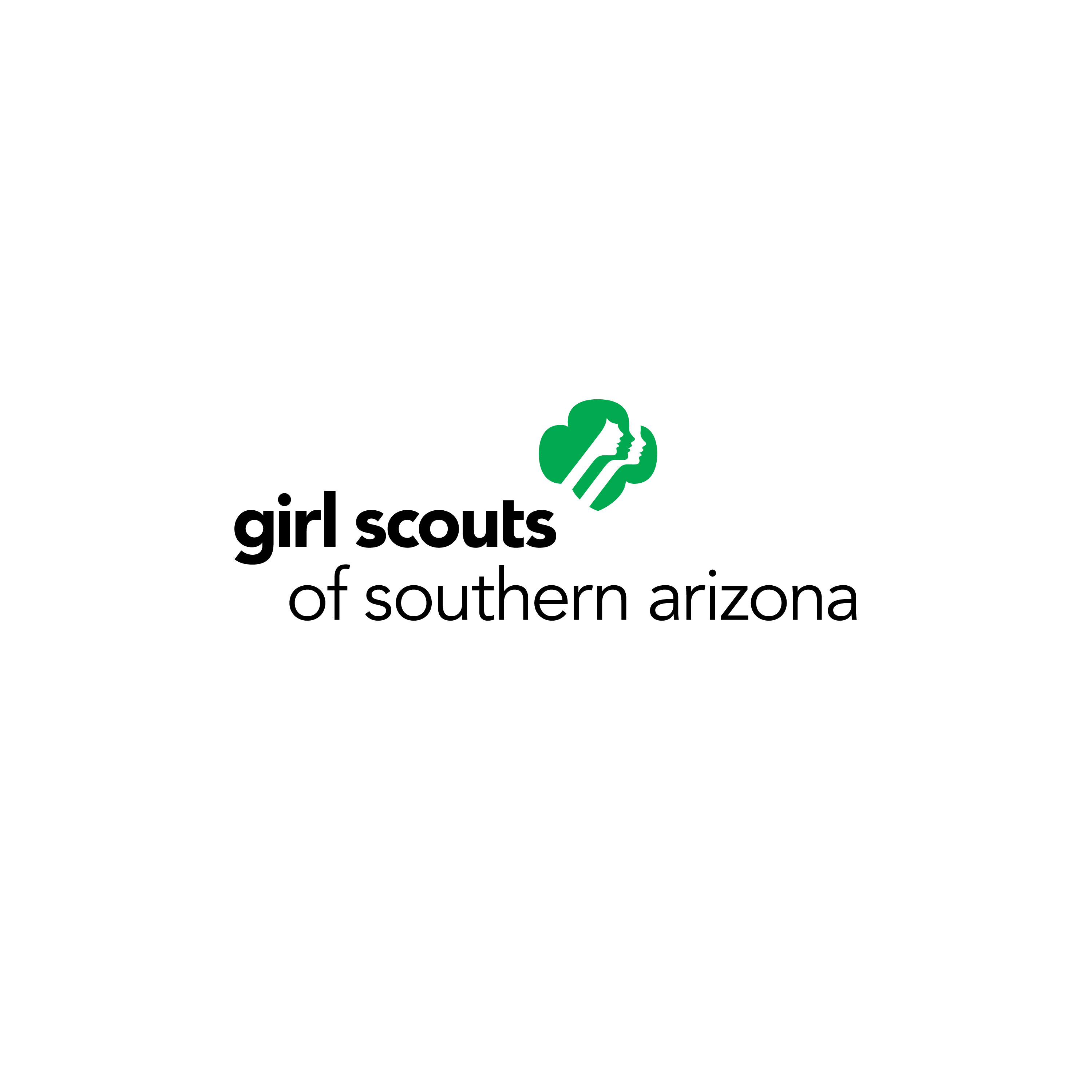 Girl Scout Patch GS Thank You VOLUNTEER