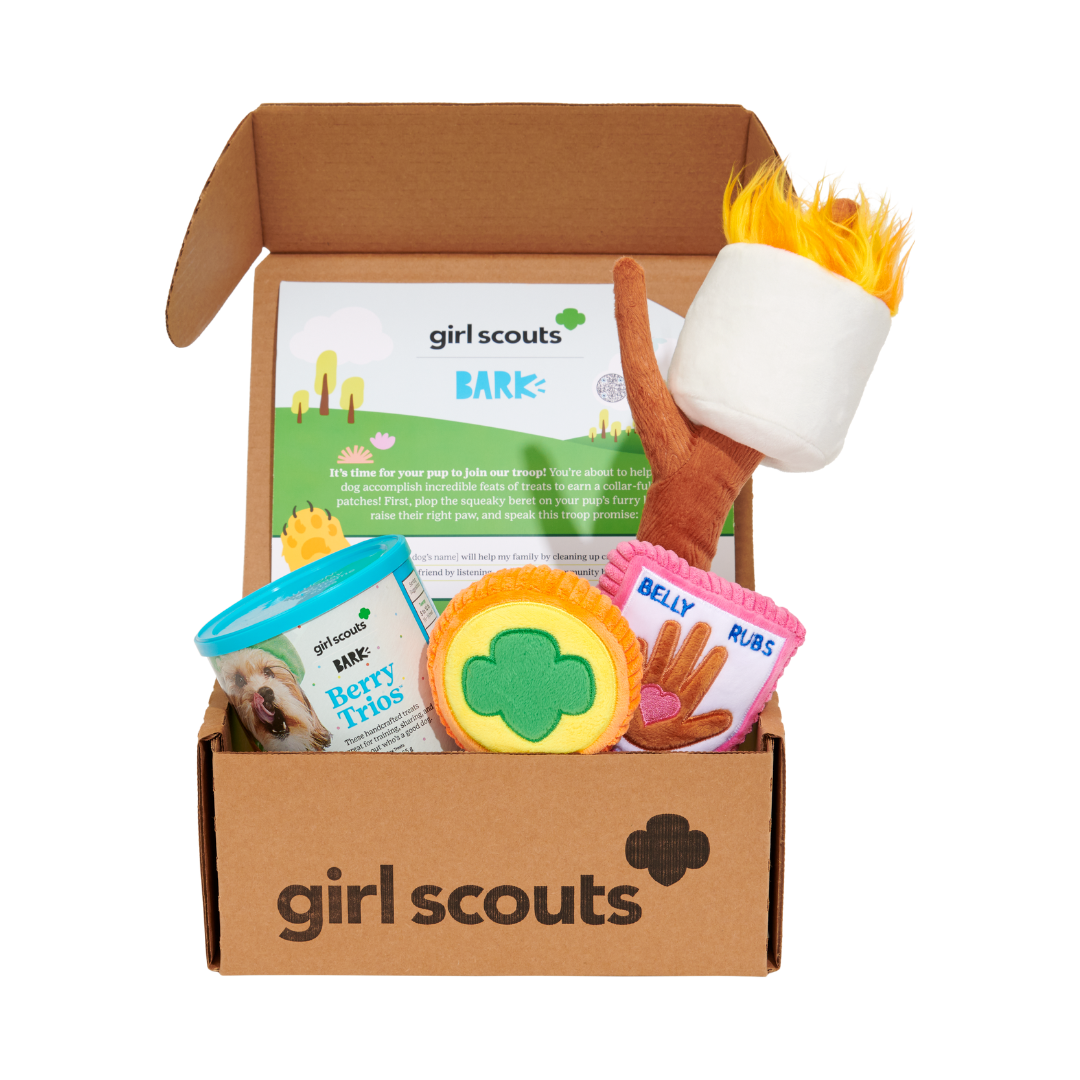 Girl Scout themed Bark Boxes