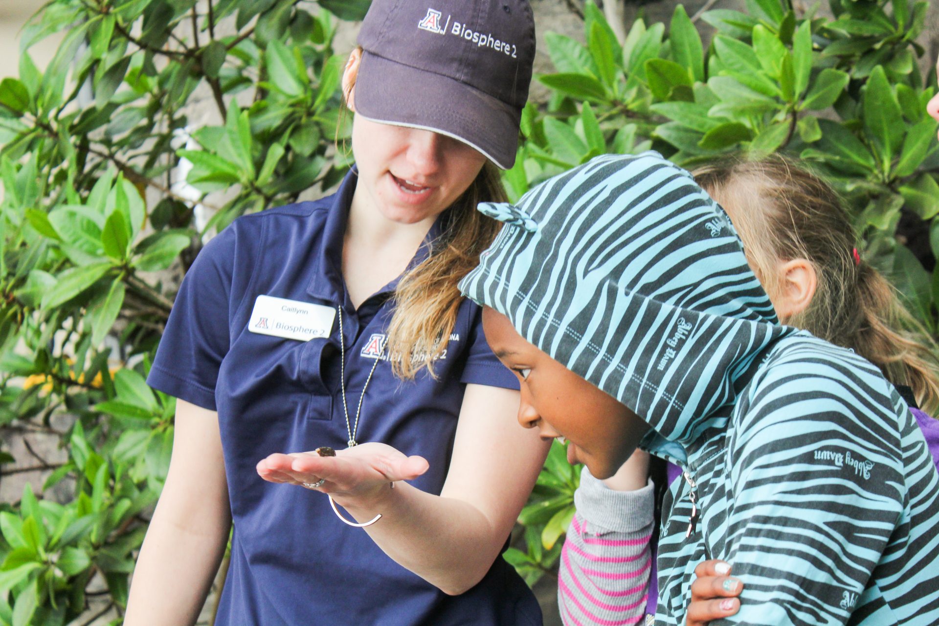 biosphere employee showing girl scouts a specimen