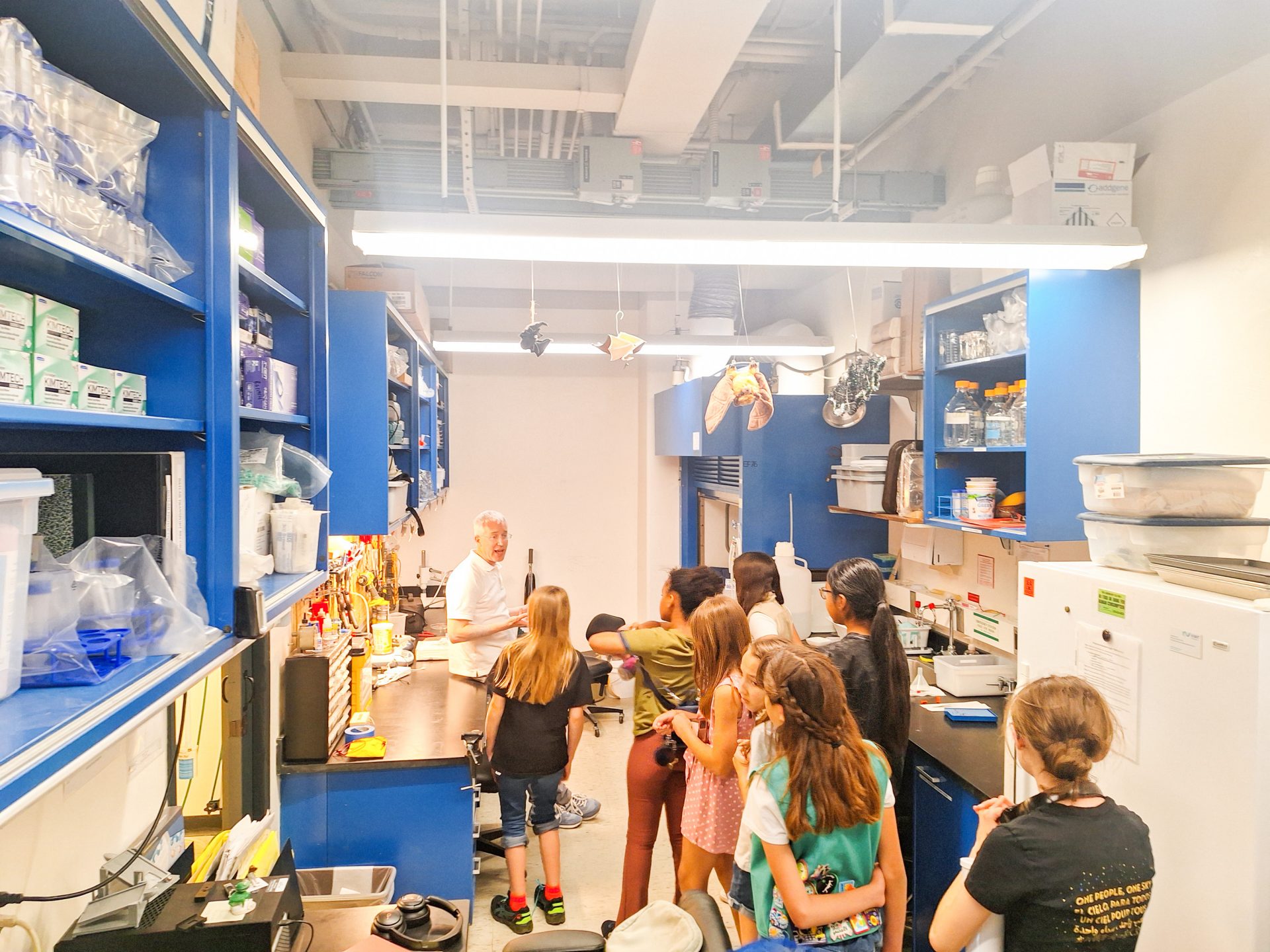 girl scouts tour bat labs at the university of arizona