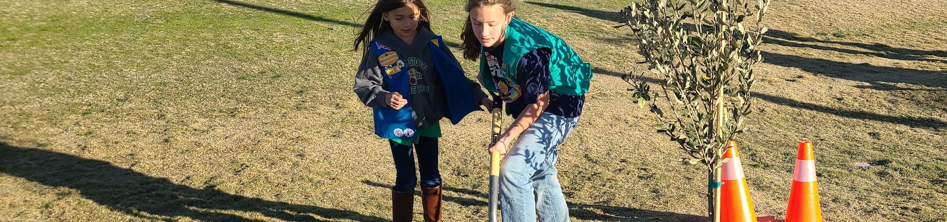  girl scouts planting tree at park 